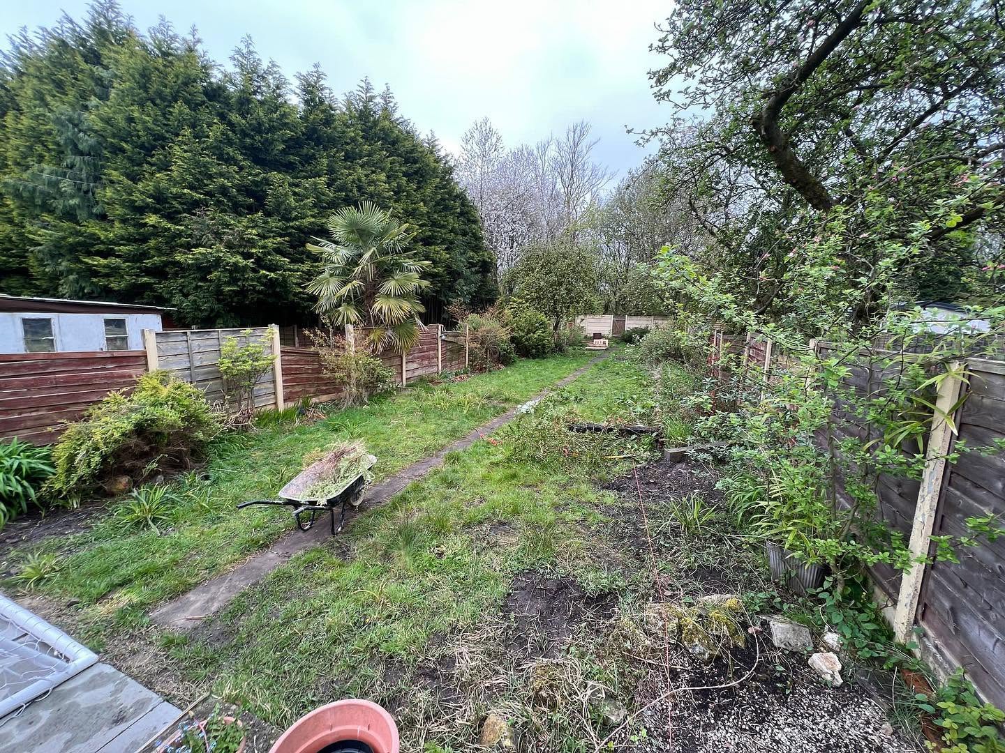 Long overgrown garden before work, looking down towards the back